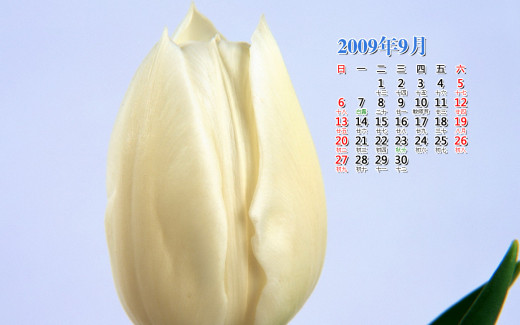 476282 (a): :1440x900